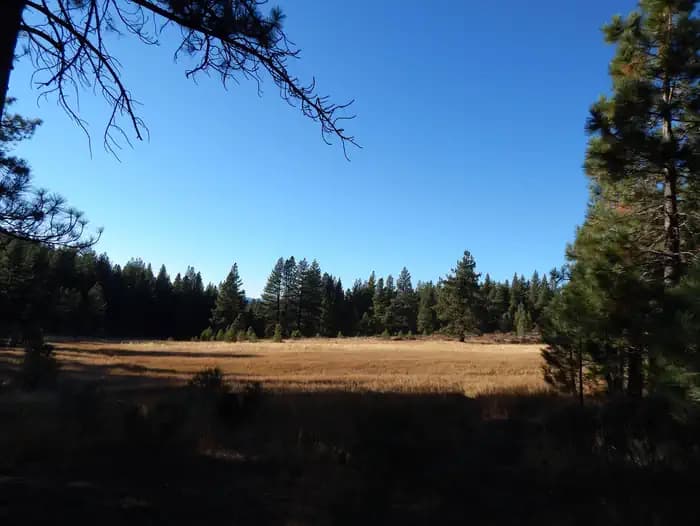 BOCA SPRING campground in California