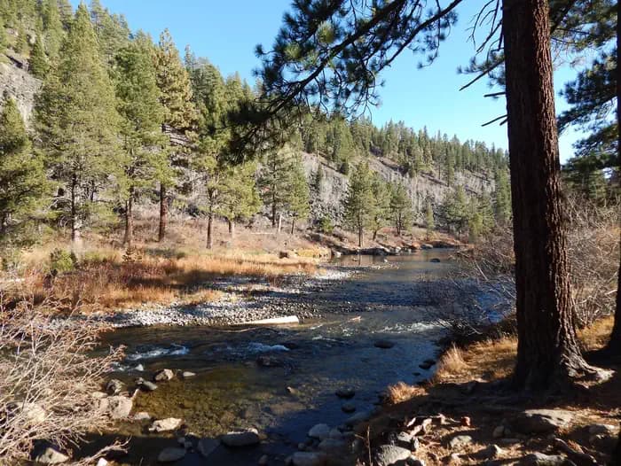 GOOSE MEADOWS campground in California