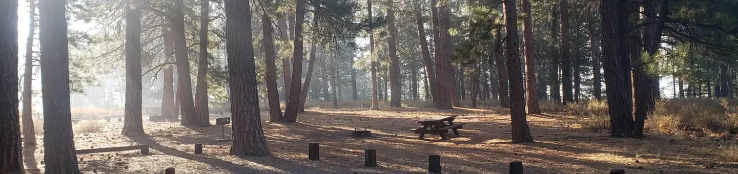 PROSSER FAMILY campground in California
