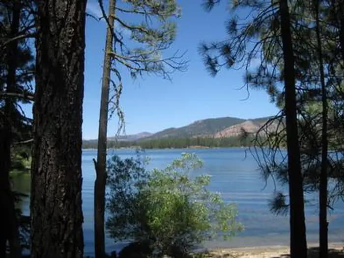 BOULDER CREEK (CA) campground in California