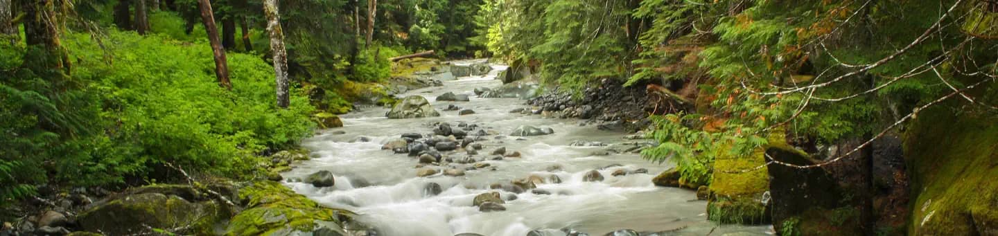 OHANAPECOSH GROUP CAMPGROUND campground in Washington