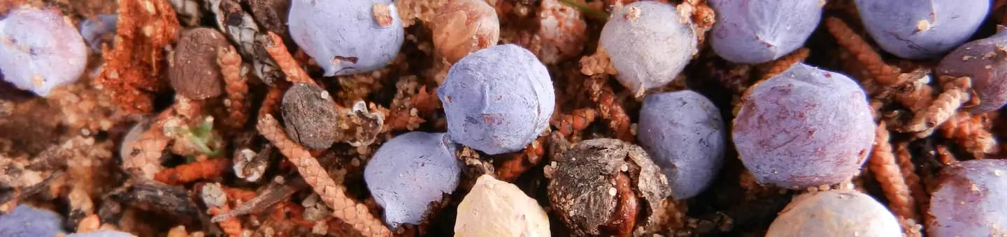 Grey Cliffs Campground campground in US