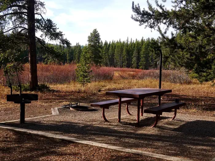PRUNE CREEK campground in Wyoming