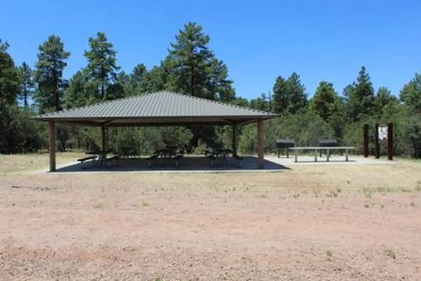 TIMBER CAMP RECREATION AREA and GROUP CAMPGROUNDS campground in Arizona