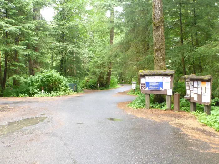 SIGNAL CREEK CAMPGROUND campground in Alaska