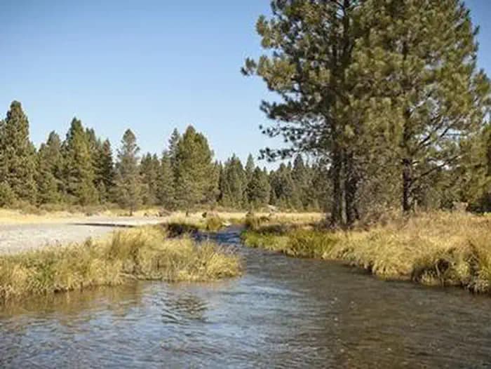 OGDEN GROUP campground in US