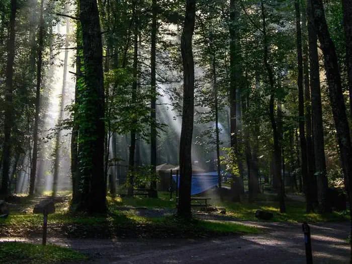 ELKMONT CAMPGROUND campground in Tennessee