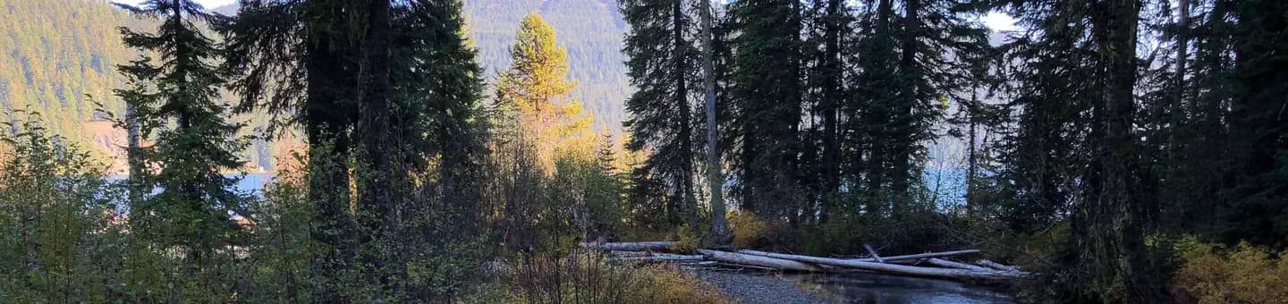 Trapper Creek Campground campground in Oregon