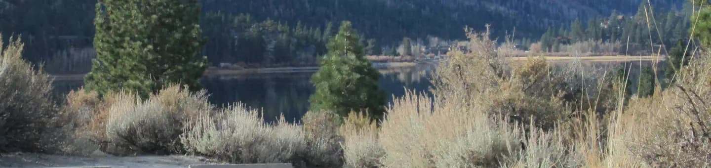 OH RIDGE campground in California