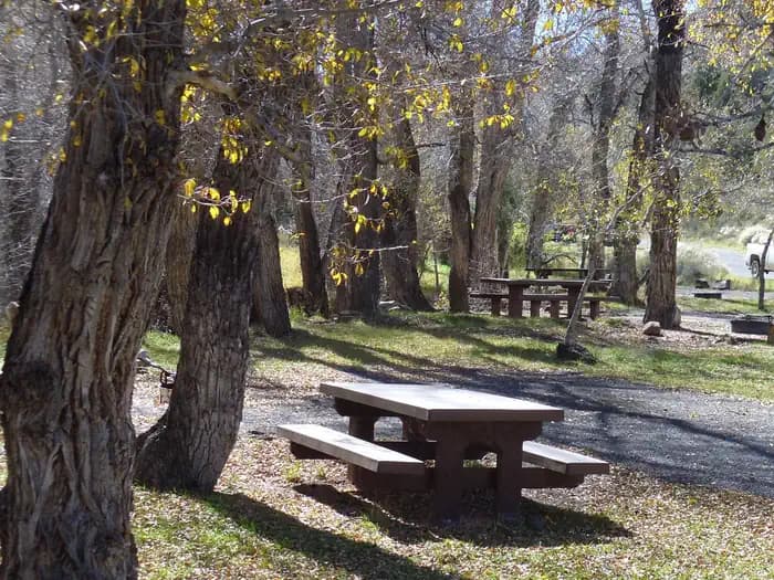 WHITE BRIDGE campground in Utah