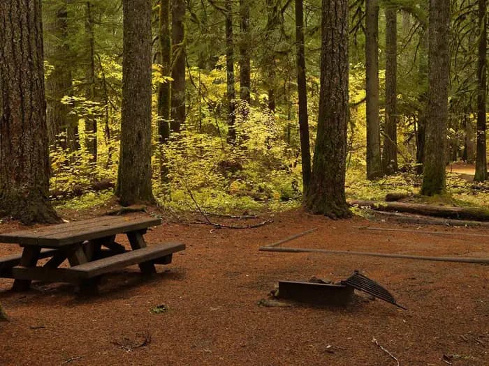 Paradise Creek campground campground in Washington