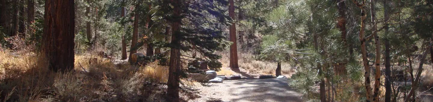 REVERSED CREEK CAMPGROUND campground in California