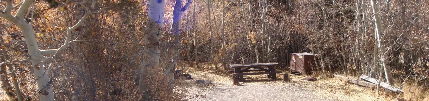 JUNE LAKE campground in California