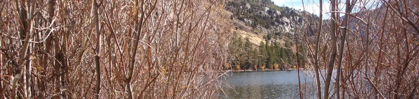 Silver Lake Campground June Lake (CA) campground in California