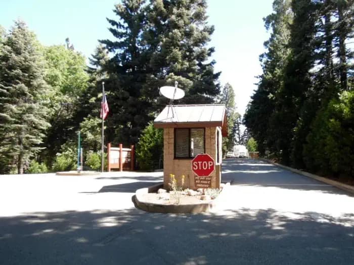 DOGWOOD campground in California