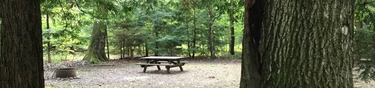 HEARTS CONTENT RECREATION AREA campground in Pennsylvania