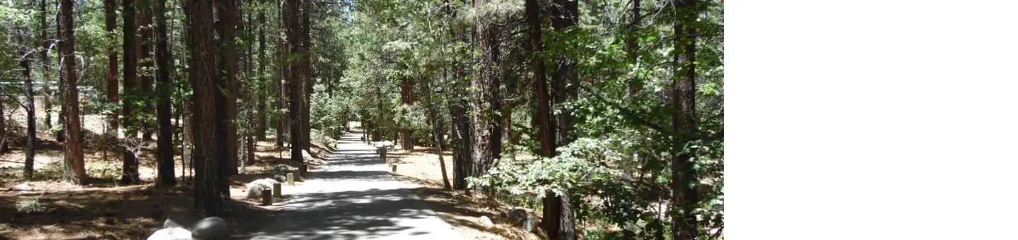 PINEKNOT campground in California