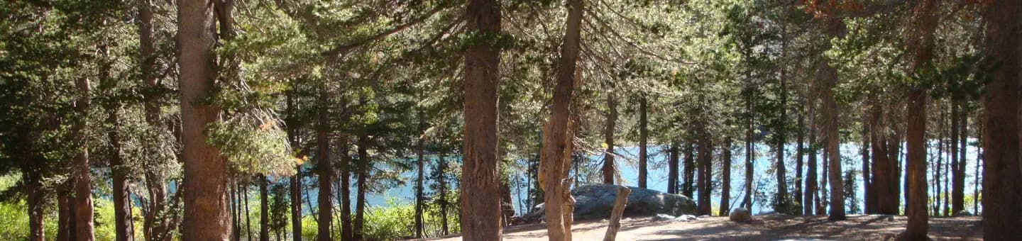 LAKE MARY CAMPGROUND campground in California