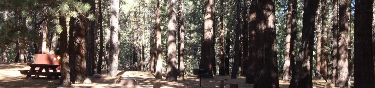 PINE GLEN campground in California