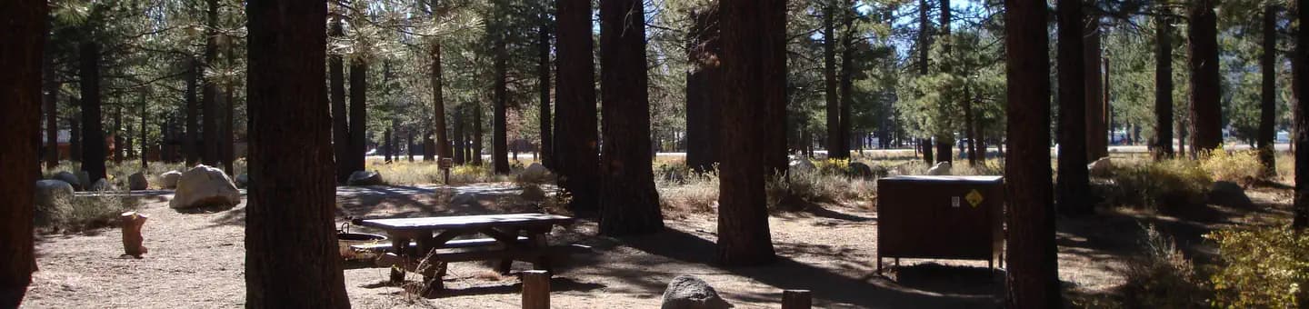 NEW SHADY REST CAMPGROUND campground in California