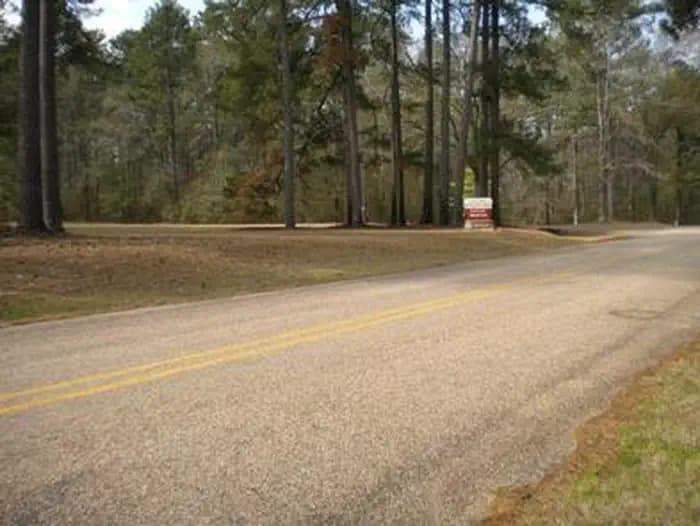 Beaver Dam Campground (Kisatchie National Forest, LA) campground in Louisiana