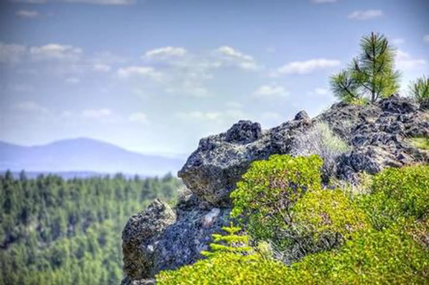 DRIFTWOOD CAMPGROUND - DESCHUTES campground in Oregon