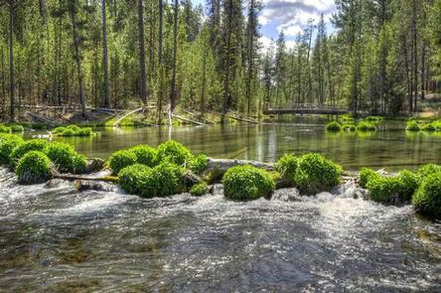 FALL RIVER CAMPGROUND campground in Oregon