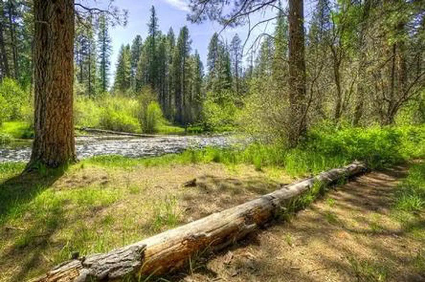 GORGE CAMPGROUND campground in Oregon