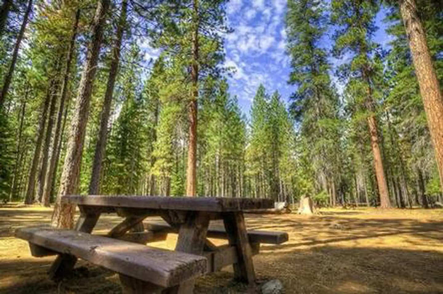 JACK CREEK CAMPGROUND campground in Oregon