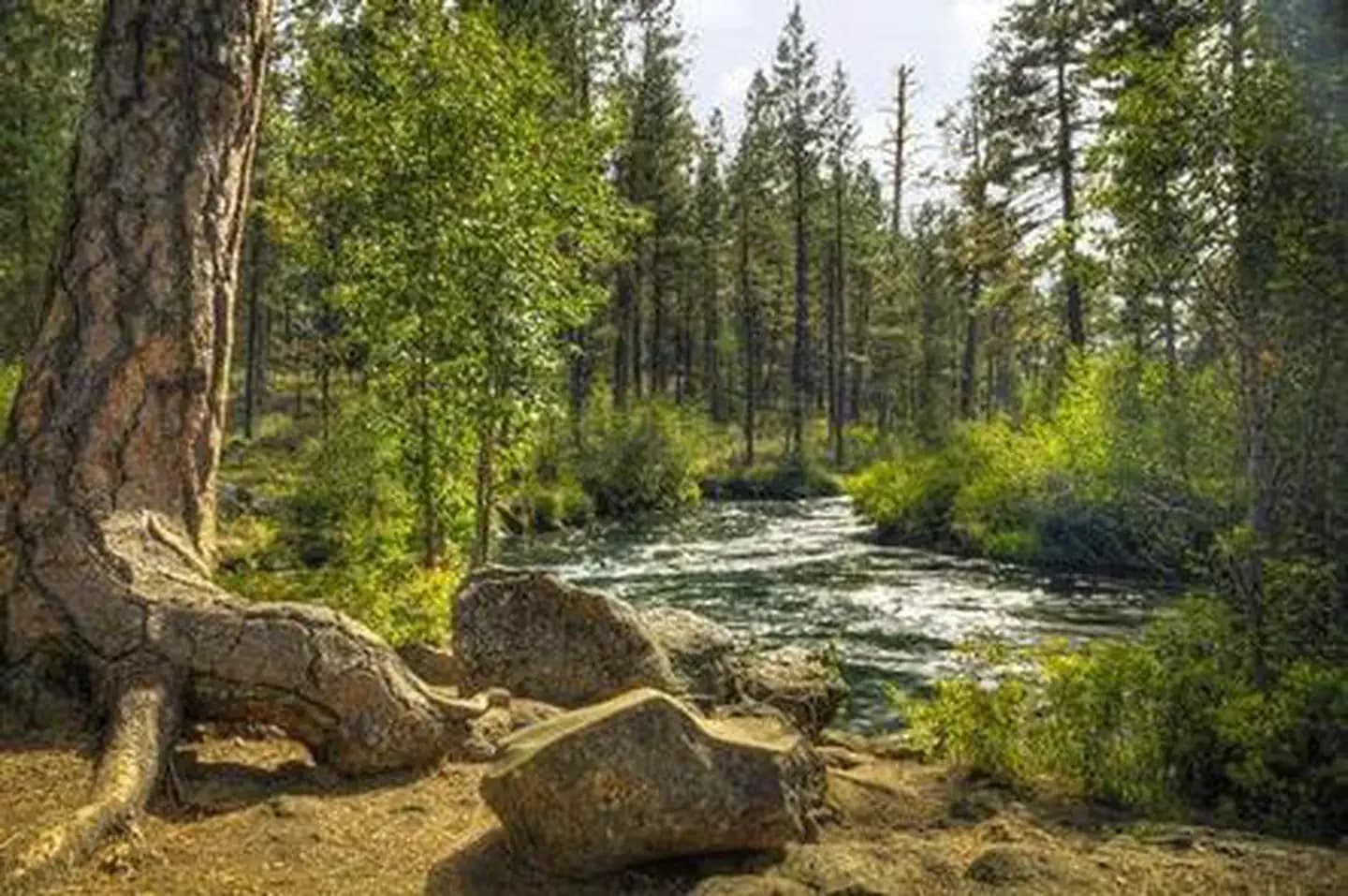 LOWER CANYON CREEK CAMPGROUND campground in Oregon