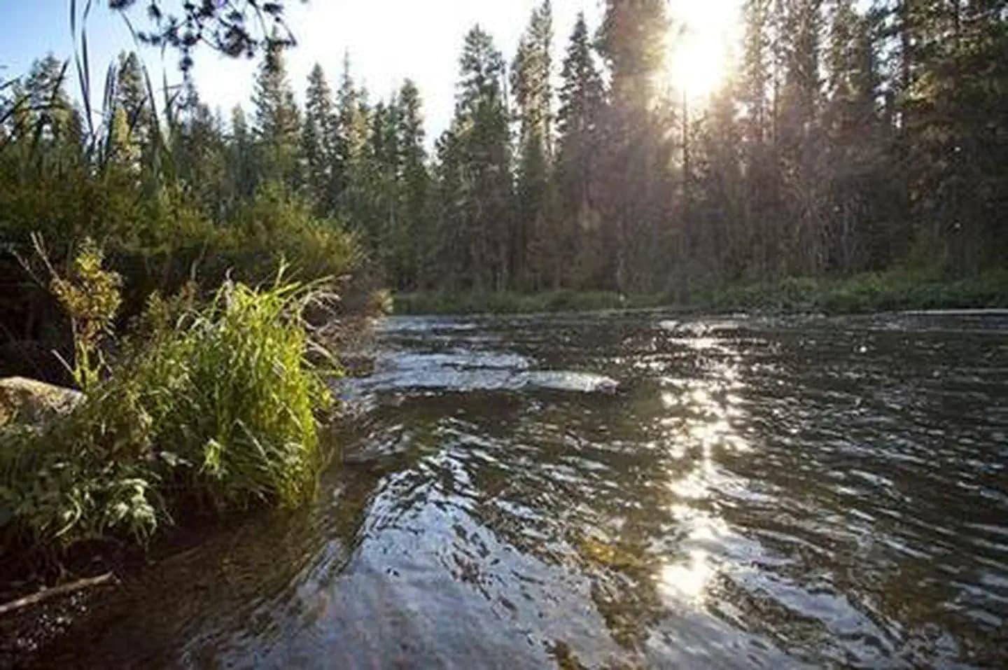 NORTH DAVIS CREEK CAMPGROUND campground in OREGON