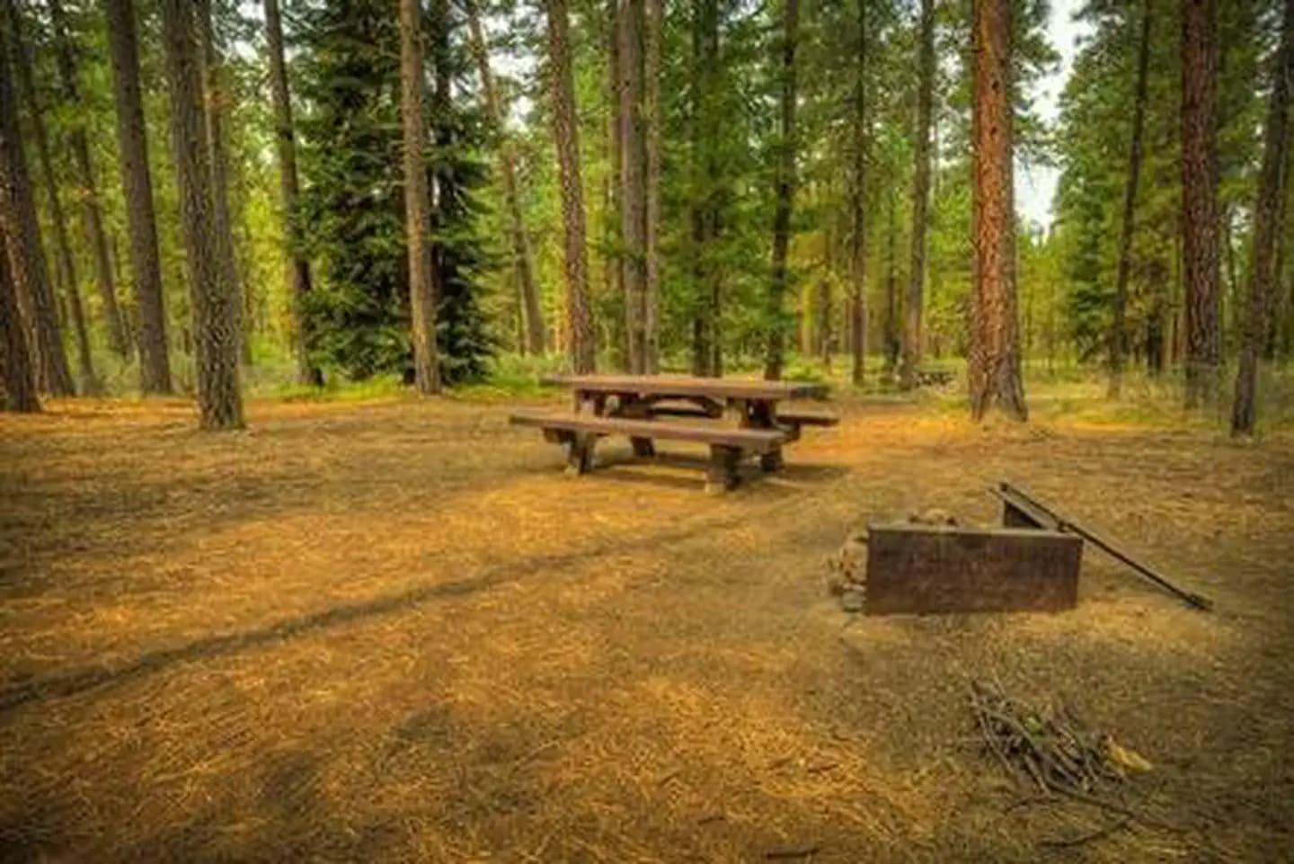 Riverside Campground (Deschutes National Forest, OR) campground in Oregon