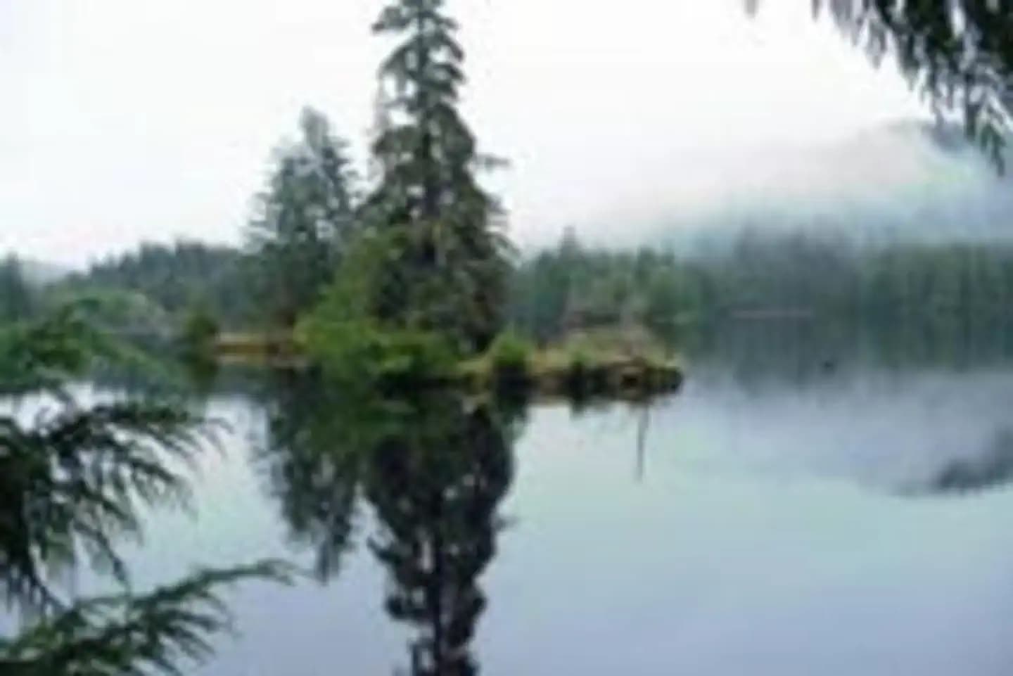 SARKAR LAKE CABIN campground in Alaska