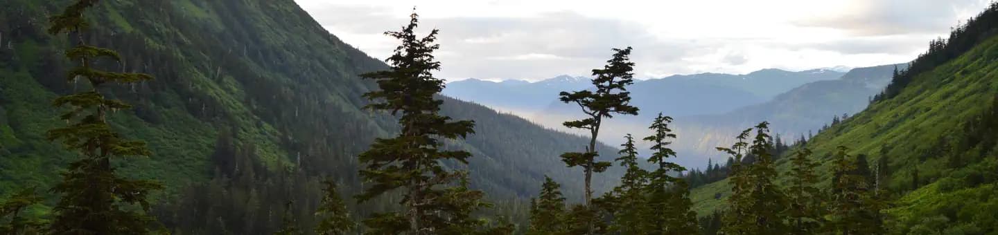 DAN MOLLER CABIN campground in Alaska
