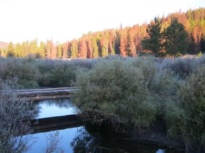 MAY CREEK CABIN campground in Montana