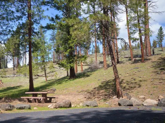 PERRY SOUTH CAMPGROUND campground in Oregon