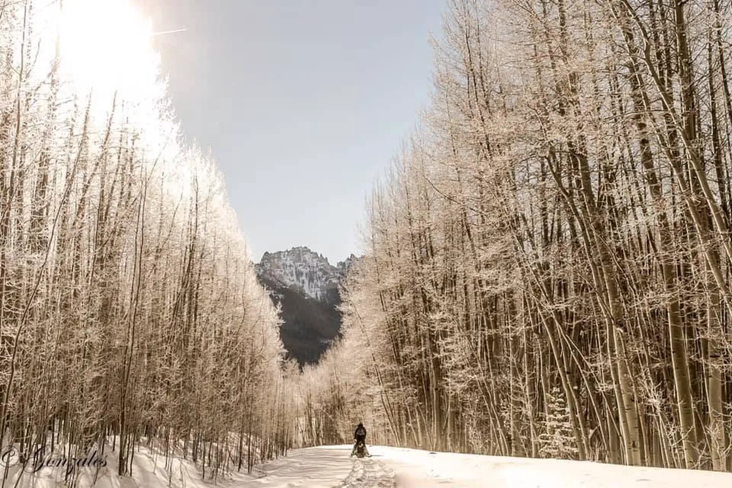 JACKSON GUARD STATION campground in Colorado