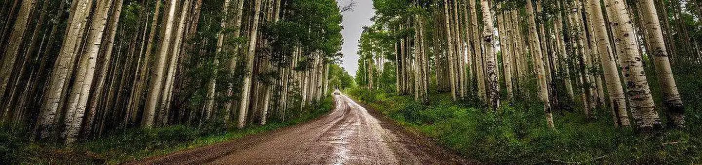 SILESCA CABIN campground in Colorado