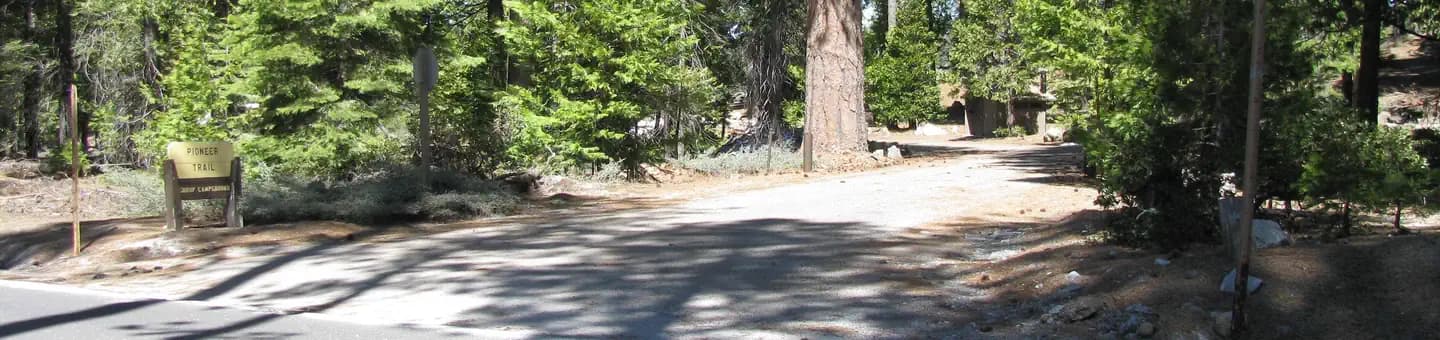 PIONEER TRAIL campground in California