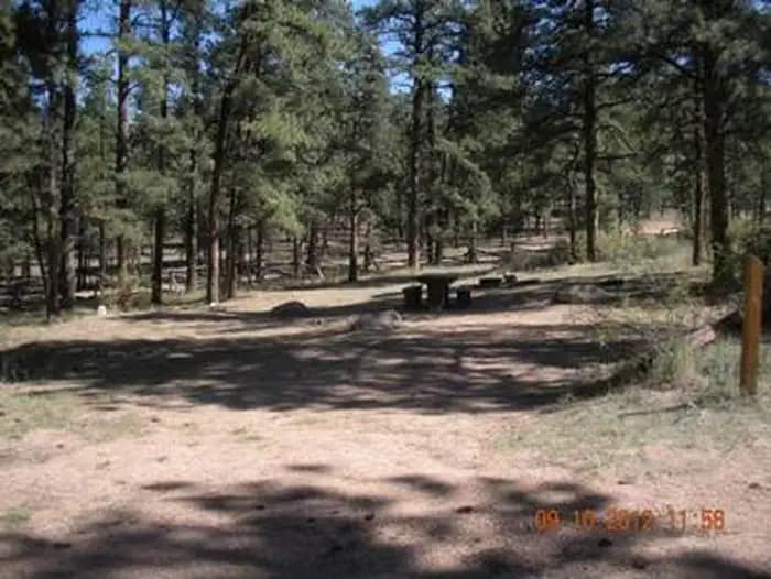 BUFFALO CAMPGROUND campground in Colorado