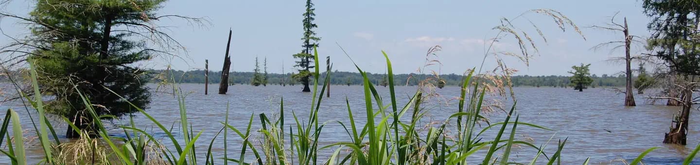 COTTONSHED PARK (AR) campground in Arkansas