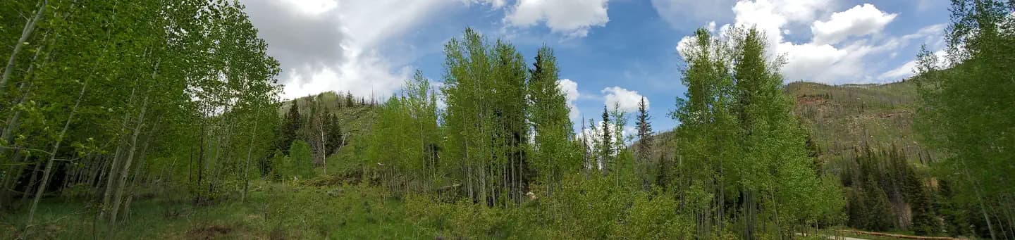 BRIDGES CAMPGROUND campground in Utah