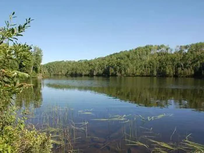 EAST BEARSKIN LAKE CAMPGROUND campground in Minnesota