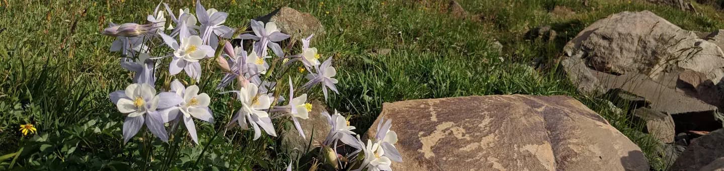 KEYSTONE RANGER STATION campground in Wyoming