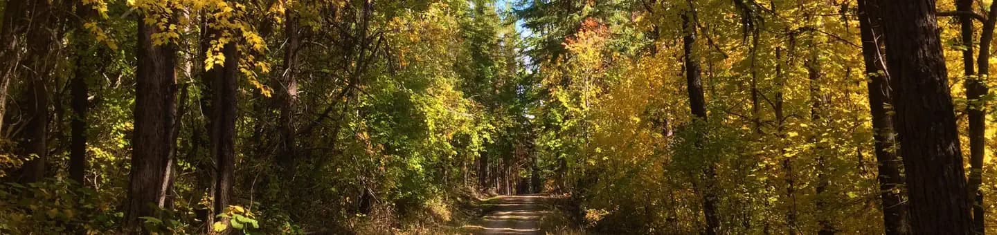 LAKE GILLETTE CAMPGROUND campground in Washington