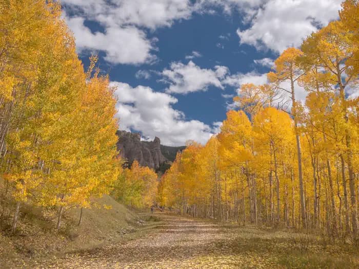 Lodgepole (Taylor River Canyon near Gunnison, COLORADO) campground in Colorado