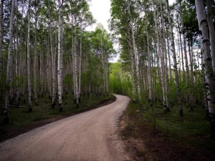 LONE ROCK CAMPGROUND (CO) campground in Colorado