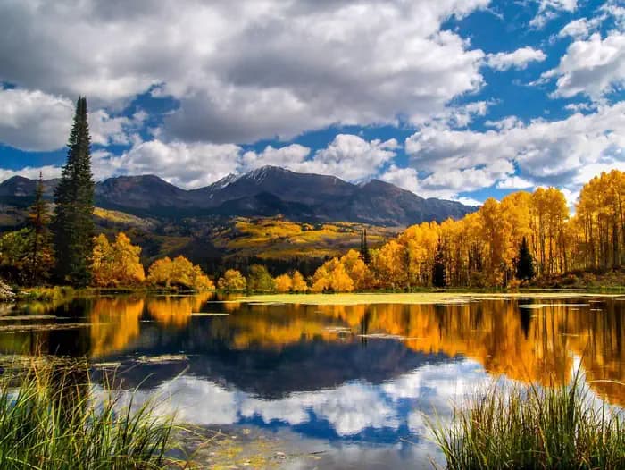 LOTTIS CREEK CAMPGROUND campground in Colorado