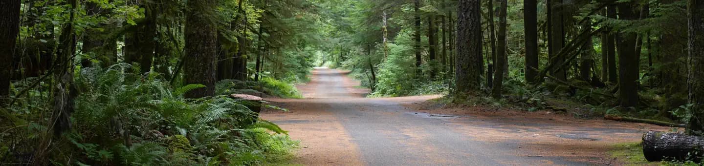 North Fork Campground (WA) campground in Washington