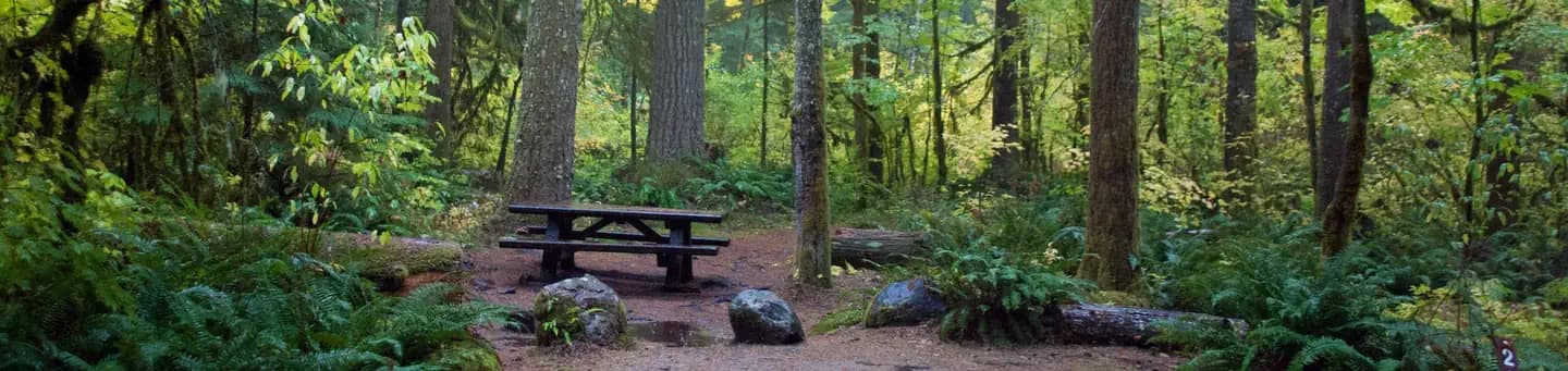 Big Creek (Gifford Pinchot National Forest, WA) campground in Washington